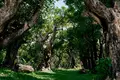 Villa 4 Seasons Botanica